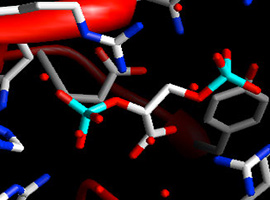 Enzymes